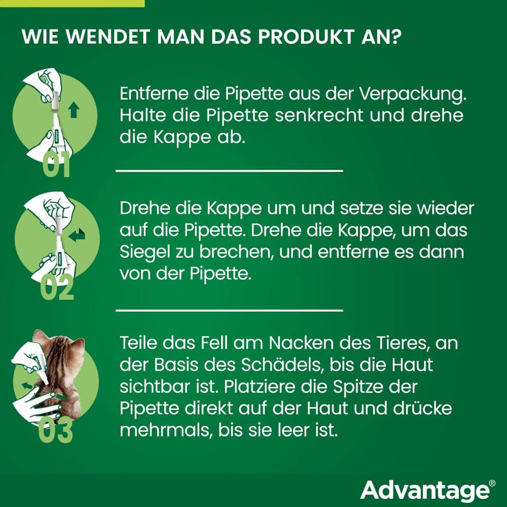 Advantage 80mg Für große Katzen und große Zierkaninchen 4X0.8 ml Lösung