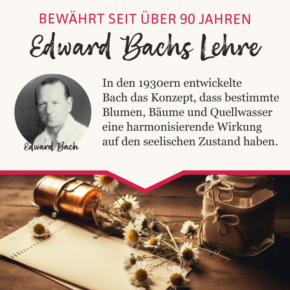 MURNAUERS Bachblüten GUTE ENERGIE 20 ml Tropfen