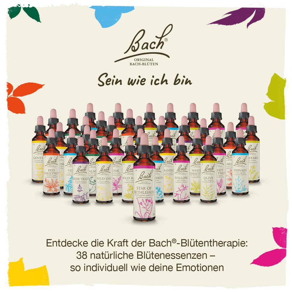 BACHBLÜTEN Original Gorse Nr. 13 20 ml Tropfen