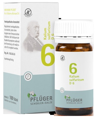 Schüßler-Salz Nr. 6 Kalium sulfuricum D6 100 St Tabletten