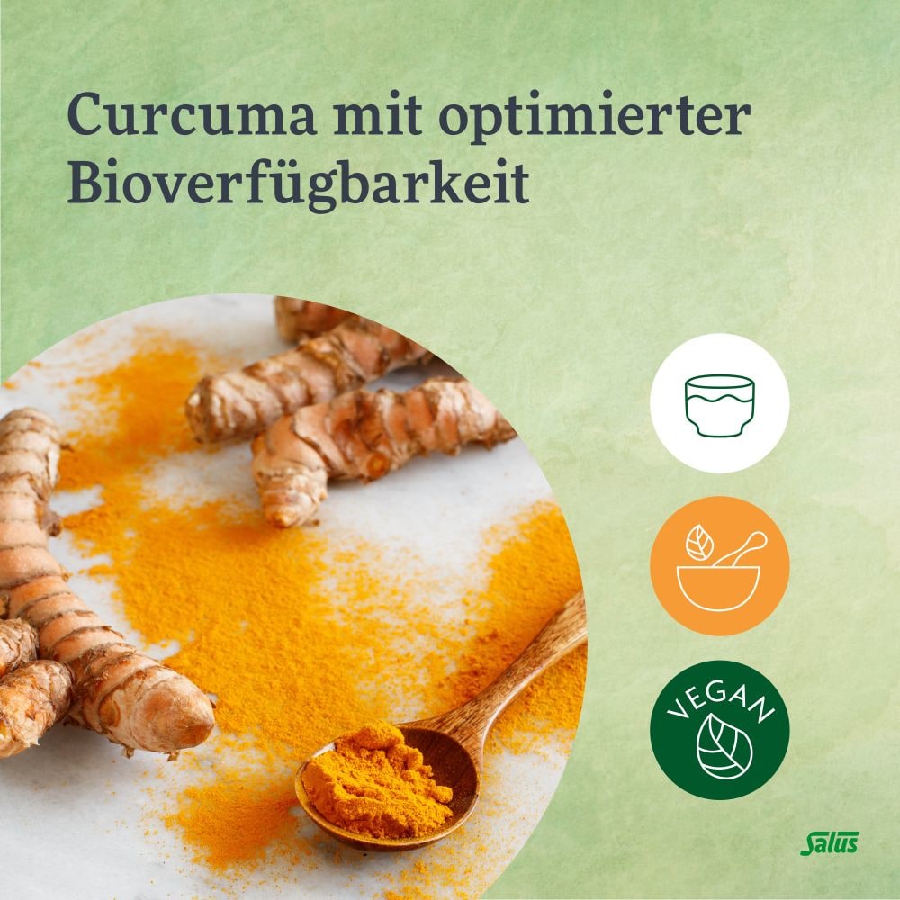 Salus Darm-Care Curcuma Bioaktiv Tonikum 250 ml Tonikum