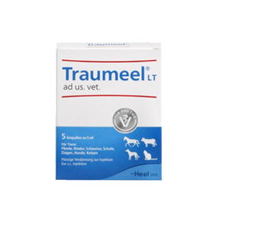 Traumeel LT ad us. vet. 100X5 ml Ampullen