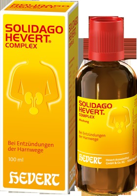 SOLIDAGO HEVERT Complex Tropfen 100 ml Tropfen