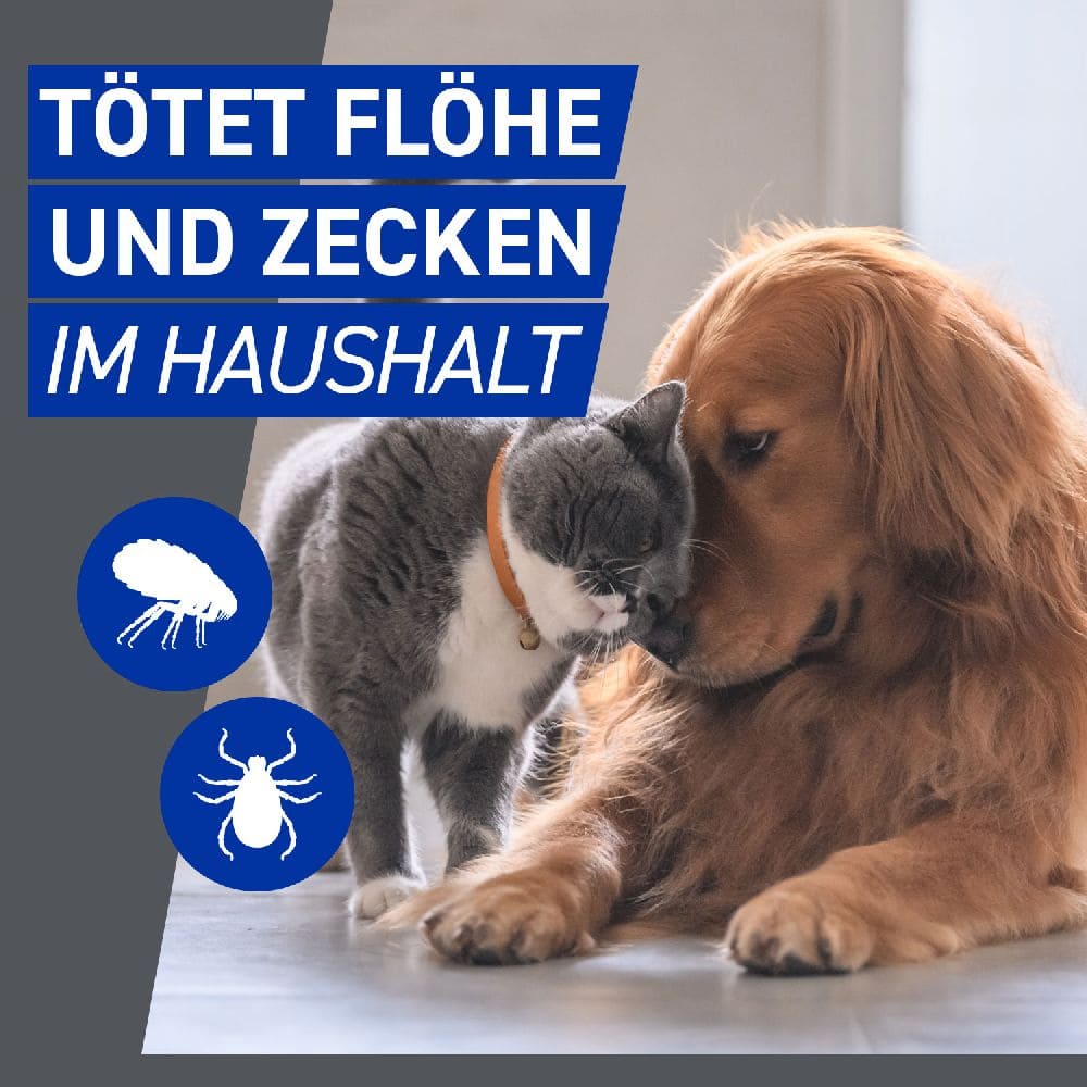 FRONTLINE HOMEGARD  zur gezielten Umgebungsbehandlung gegen Zecken, Flöhe & Flohlarven 250 ml Spray