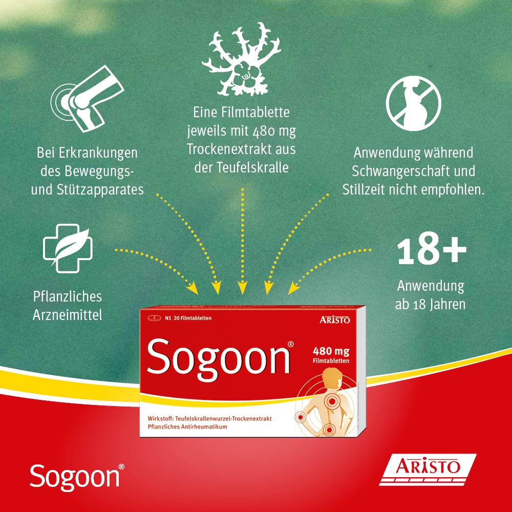 Sogoon 480 mg 200 St Filmtabletten