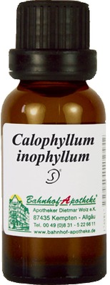 CALOPHYLLUM inophyllum Öl 20 ml Öl