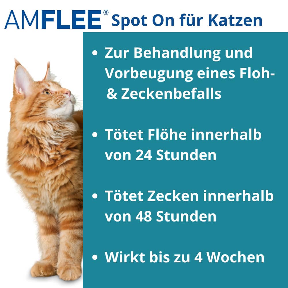 AMFLEE 50 mg Spot-on Lösung zum Auftropfen für Katzen 3 St Lösung