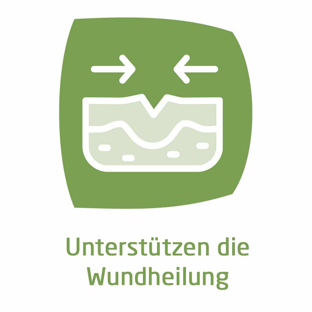 WELEDA Hämorrhoidalzäpfchen 10 St Suppositorien