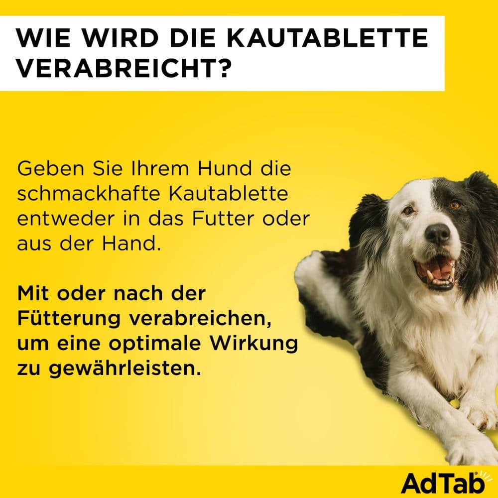 AdTab Kautabletten 450mg für Hunde 11-22 kg Elanco 3 St Kautabletten