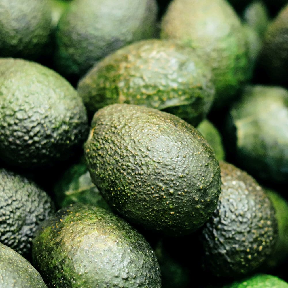 RAUSCH Farbschutz-Conditioner mit Avocado 30 ml 30 ml Haarspülung