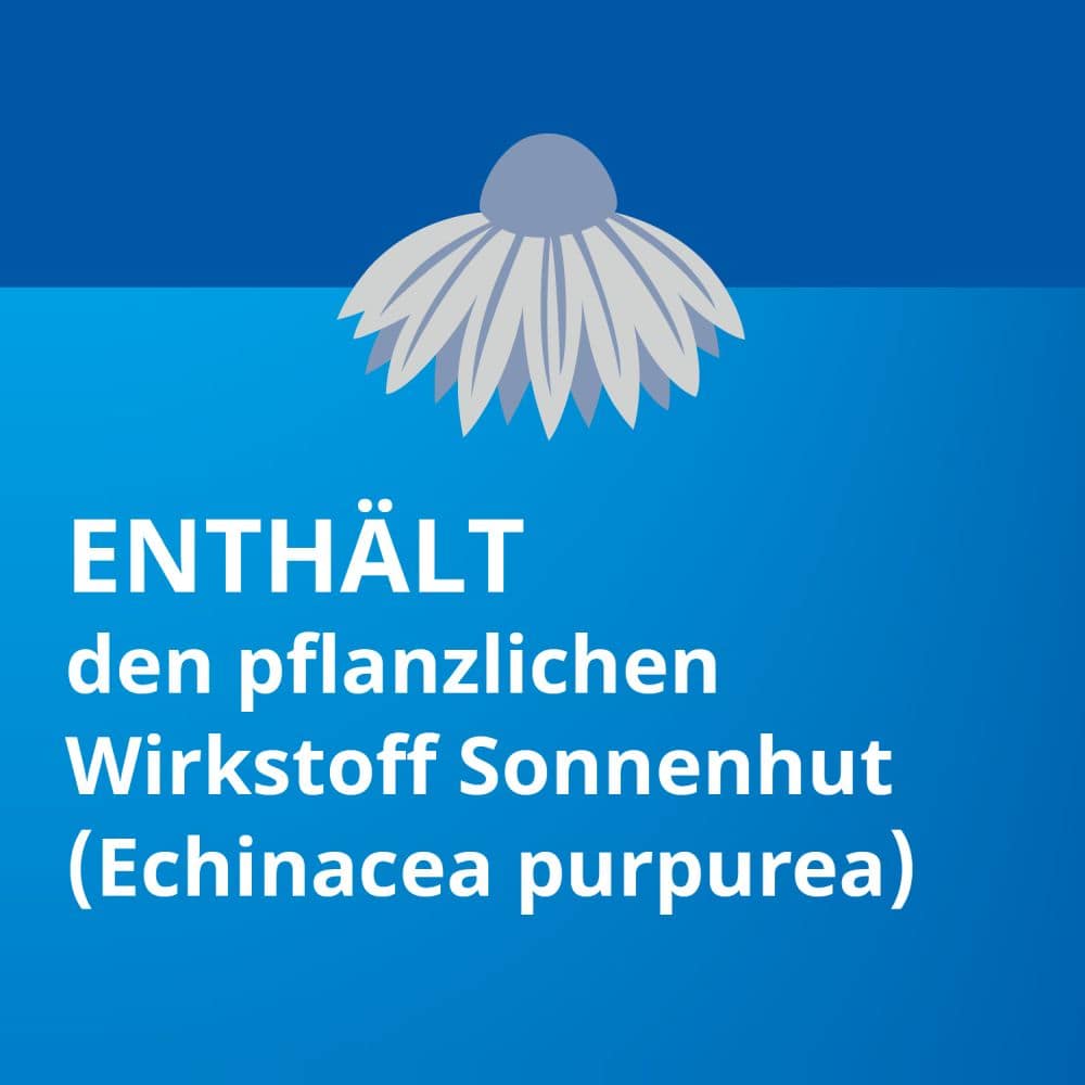 Echinacea STADA Classic 50 ml Lösung zum Einnehmen