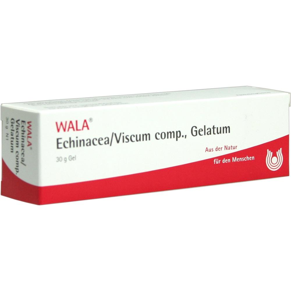 WALA Echinacea/Viscum comp. Gelatum 30 g Gel