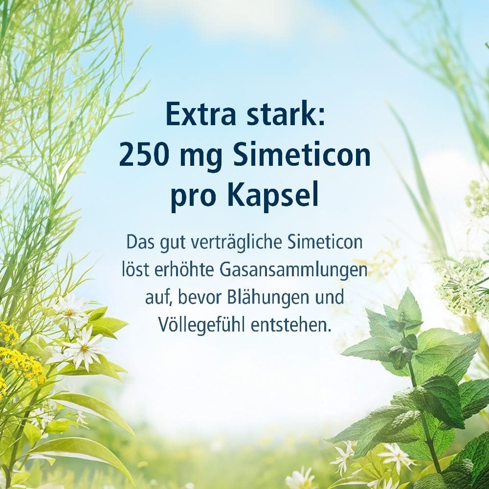 KLOSTERFRAU Magen-Darm Entspannung  20 St Kapseln