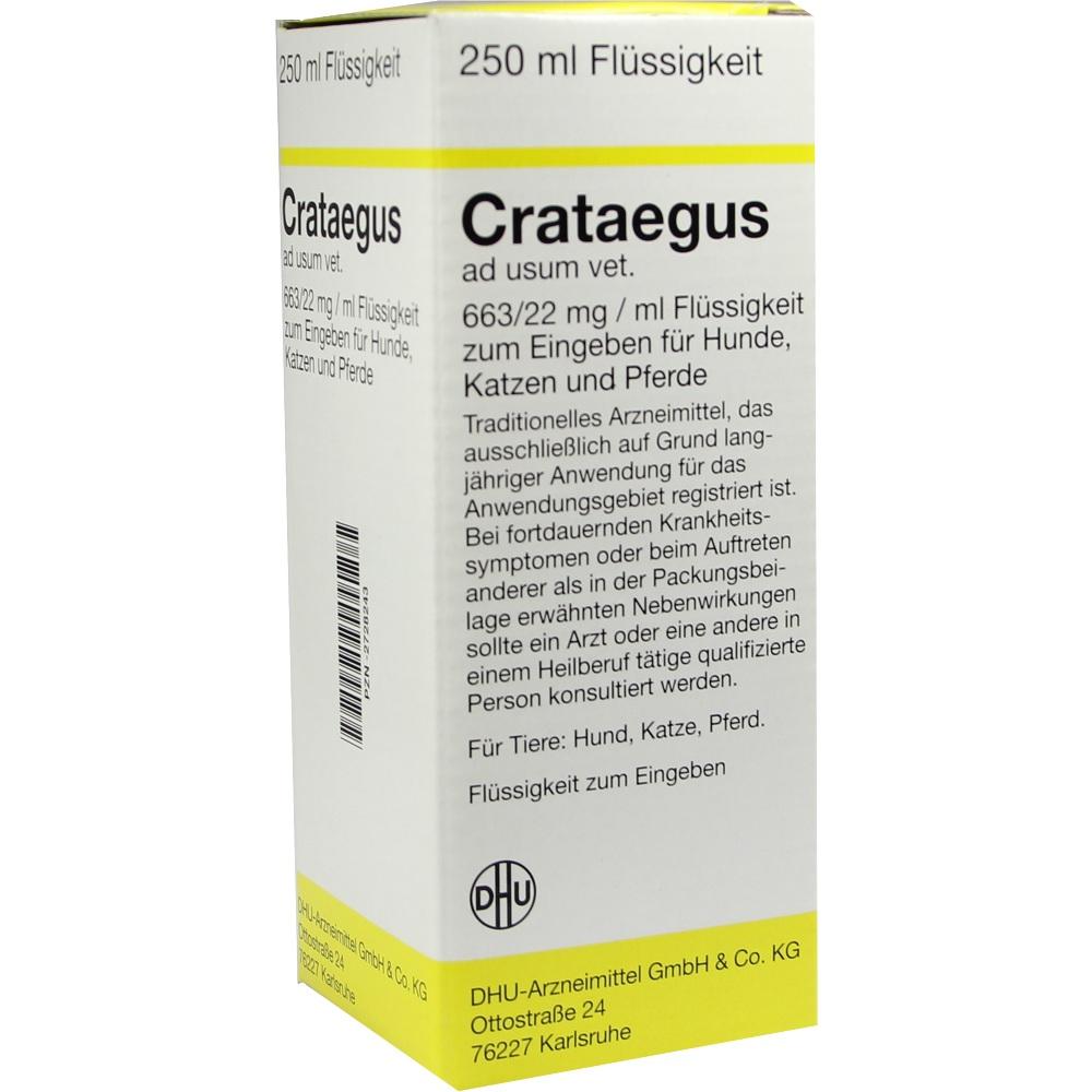 Crataegus ad usum vet. 50 ml Lösung 250 ml Dilution