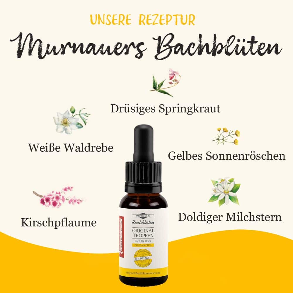 MURNAUERS Bachblüten ORIGINAL TROPFEN nach Dr. Bach ohne Alkohol 20 ml Tropfen