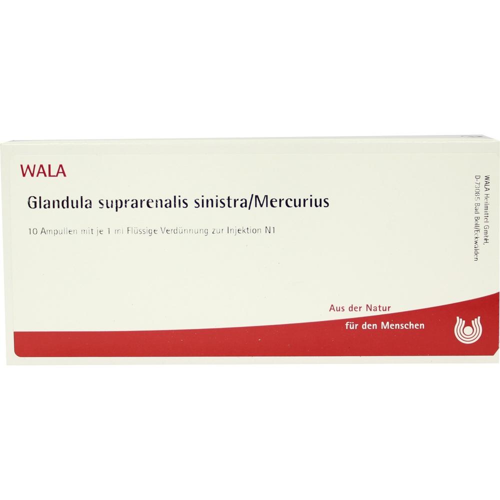 Glandula suprarenalis sinistra/Mercurius 10X1 ml Ampullen
