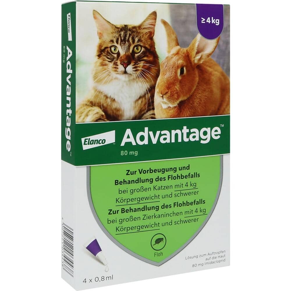 Advantage 80mg Für große Katzen und große Zierkaninchen 4X0.8 ml Lösung