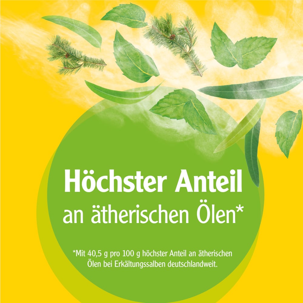 Pinimenthol Erkältungssalbe ab 12 Jahren - mit Eucalyptusöl, Kiefernnadelöl und Menthol 100 g Creme