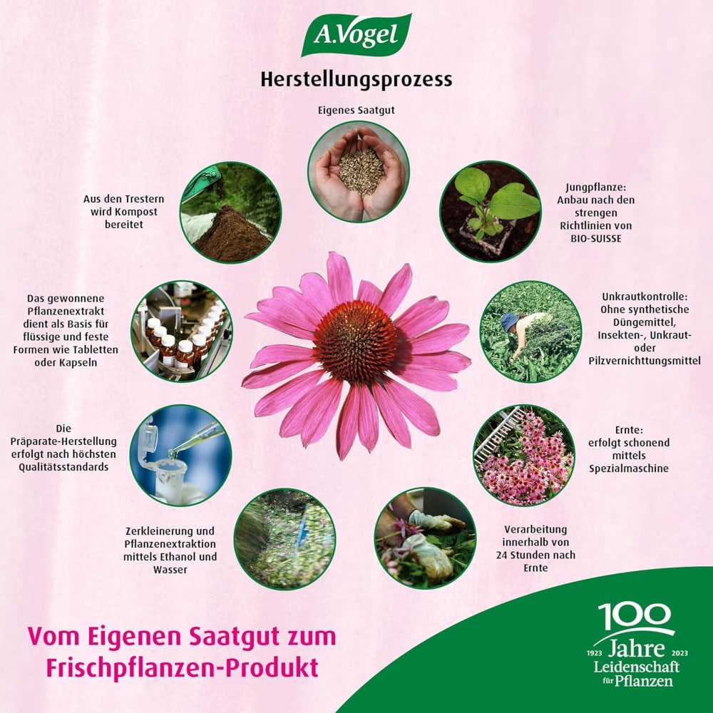 A. Vogel Echinaforce Forte Immune 30 St Tabletten