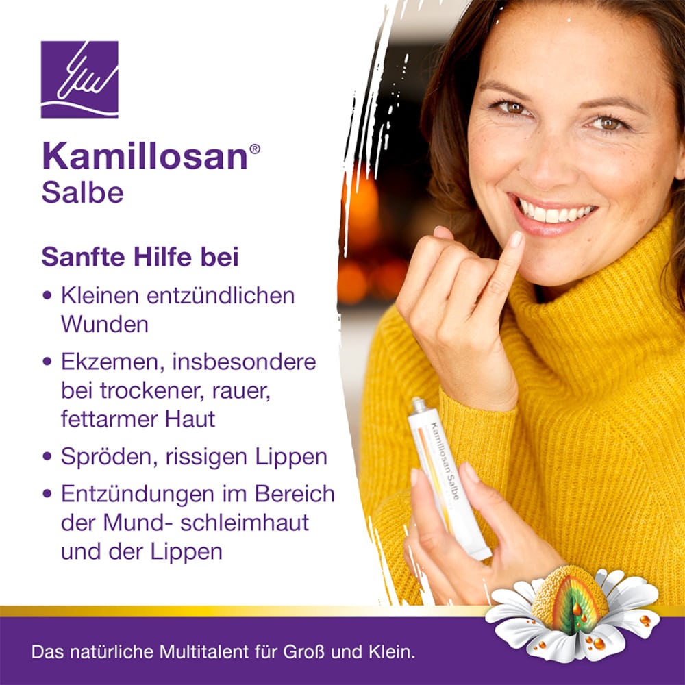 Kamillosan Salbe 100 g Salbe