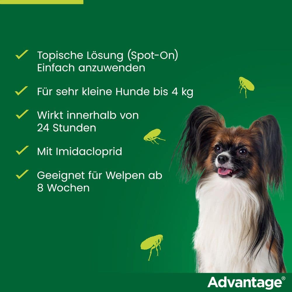 Advantage 40 Lösung für Hunde bis 4 kg 4 St Lösung