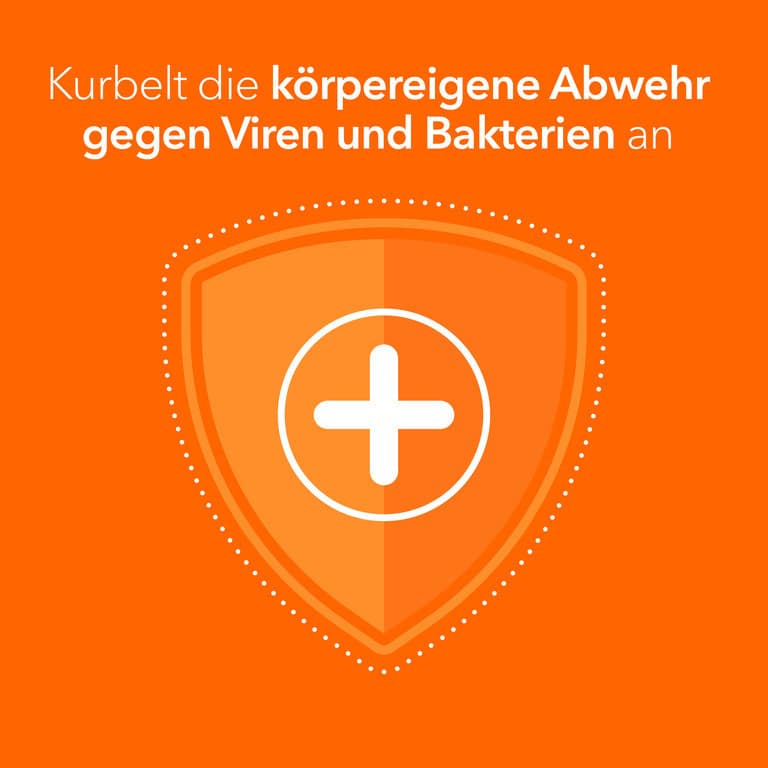 Pelargonium-ratiopharm Bronchialtropfen 50 ml Flüssigkeit