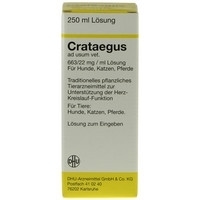 Crataegus ad usum vet. 50 ml Lösung 250 ml Dilution