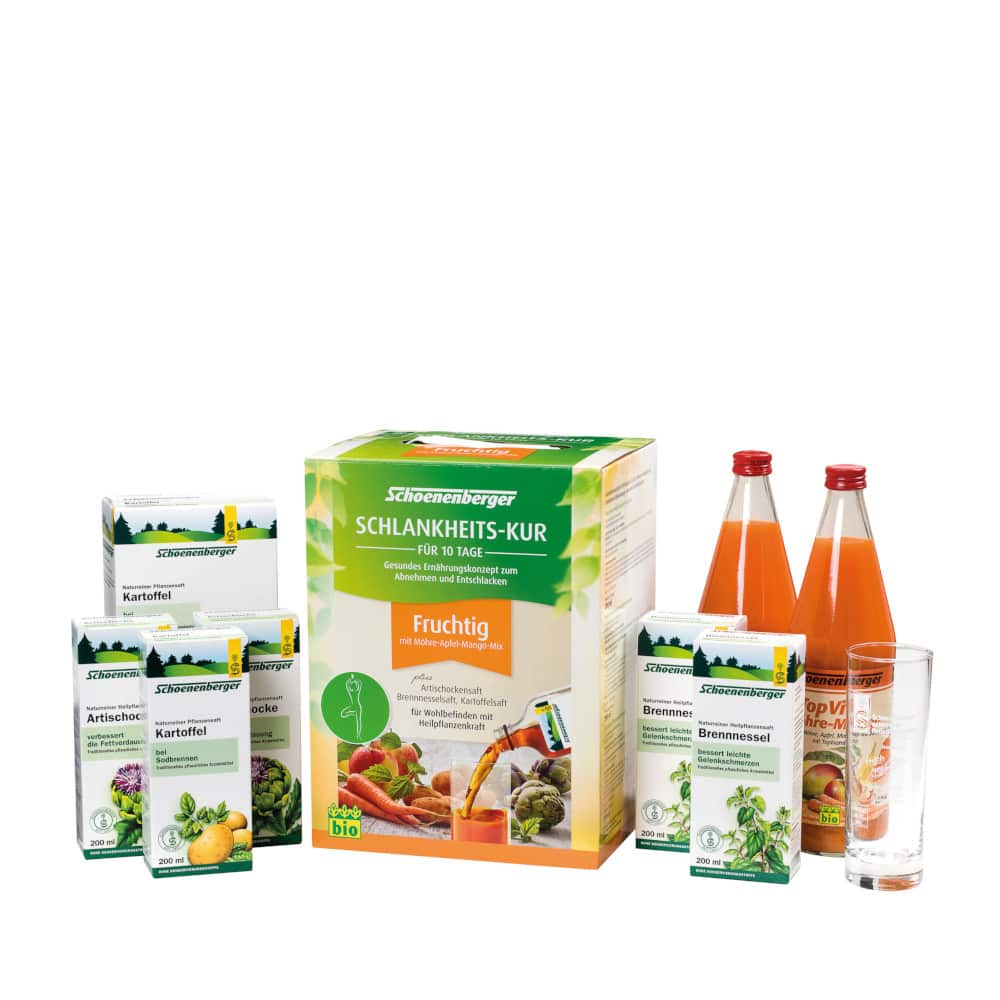 Schoenenberger Schlankheits-Kur Fruchtig 1 Packung Saft