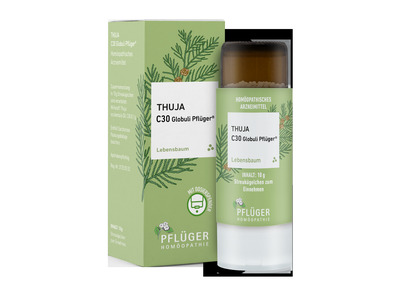 Thuja C30 Globuli Pflüger 10 g Globuli