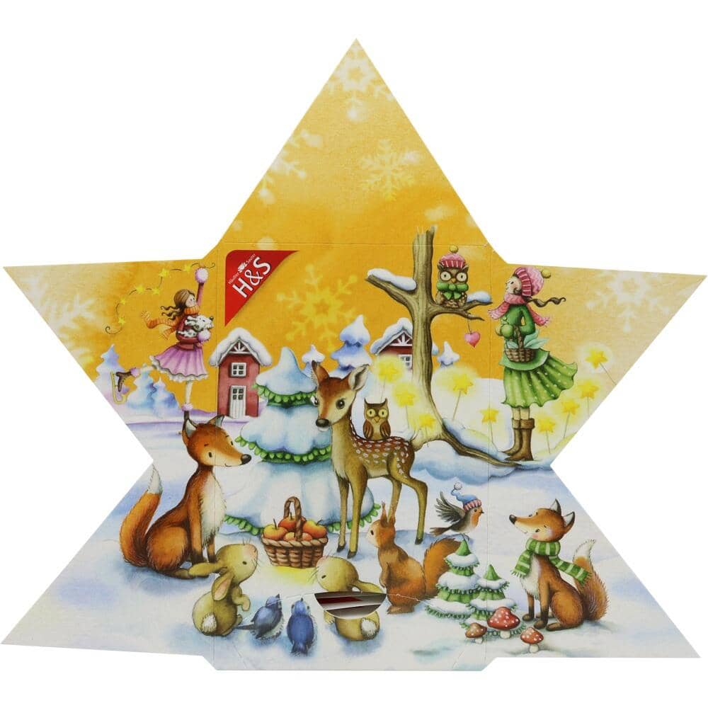 H&S Adventskalender Stern 24 St Filterbeutel