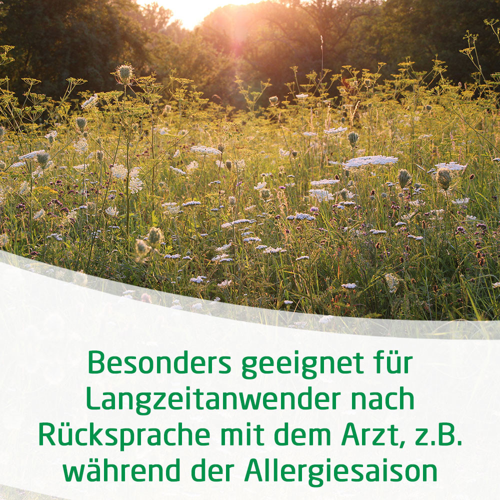 WELEDA EUPHRASIA D 3 Augentropfen 10 ml Augentropfen WELEDA EUPHRASIA D 3 Augentropfen 10 ml Augentropfen