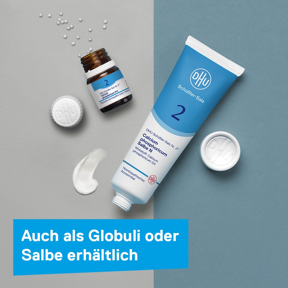 DHU Schüßler-Salz Nr. 2 Calcium phosphoricum D6 420 St Tabletten