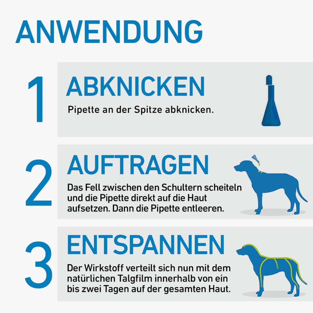 FRONTLINE SPOT-ON gegen Zecken, Flöhe und Haarlinge für Hunde L (20-40 kg)  3 St Lösung