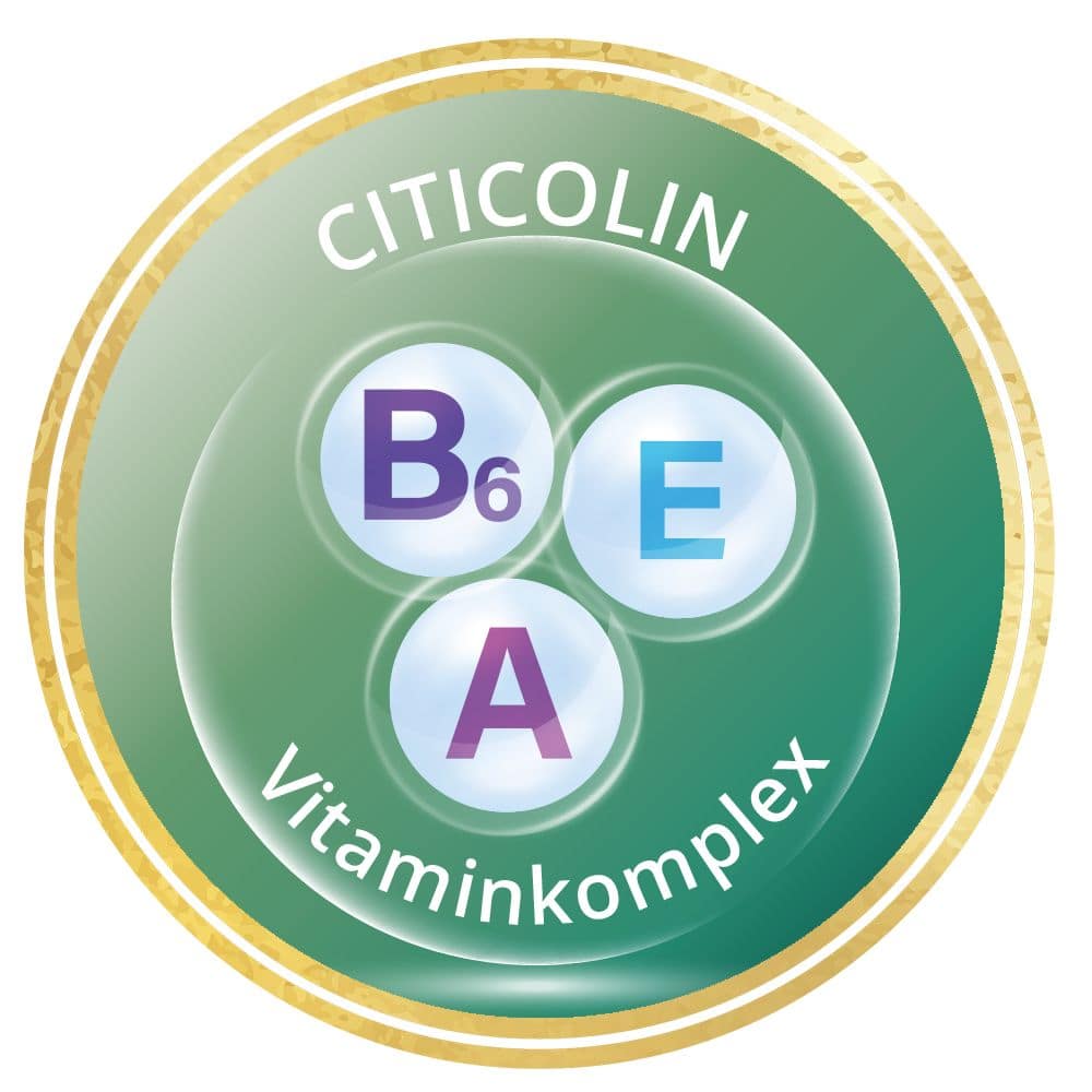 OCUVITE CITICOLIN 60 St Kapseln