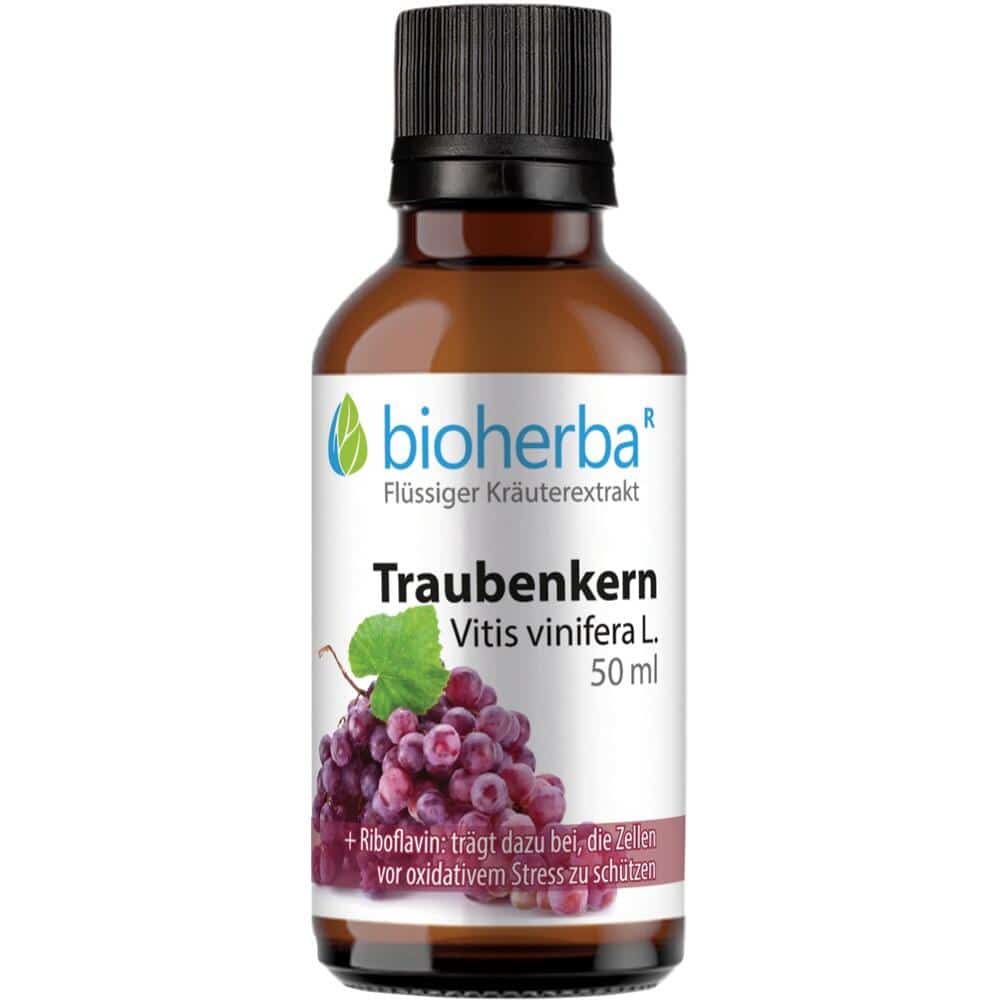 TRAUBENKERN VITIS VINIFERA