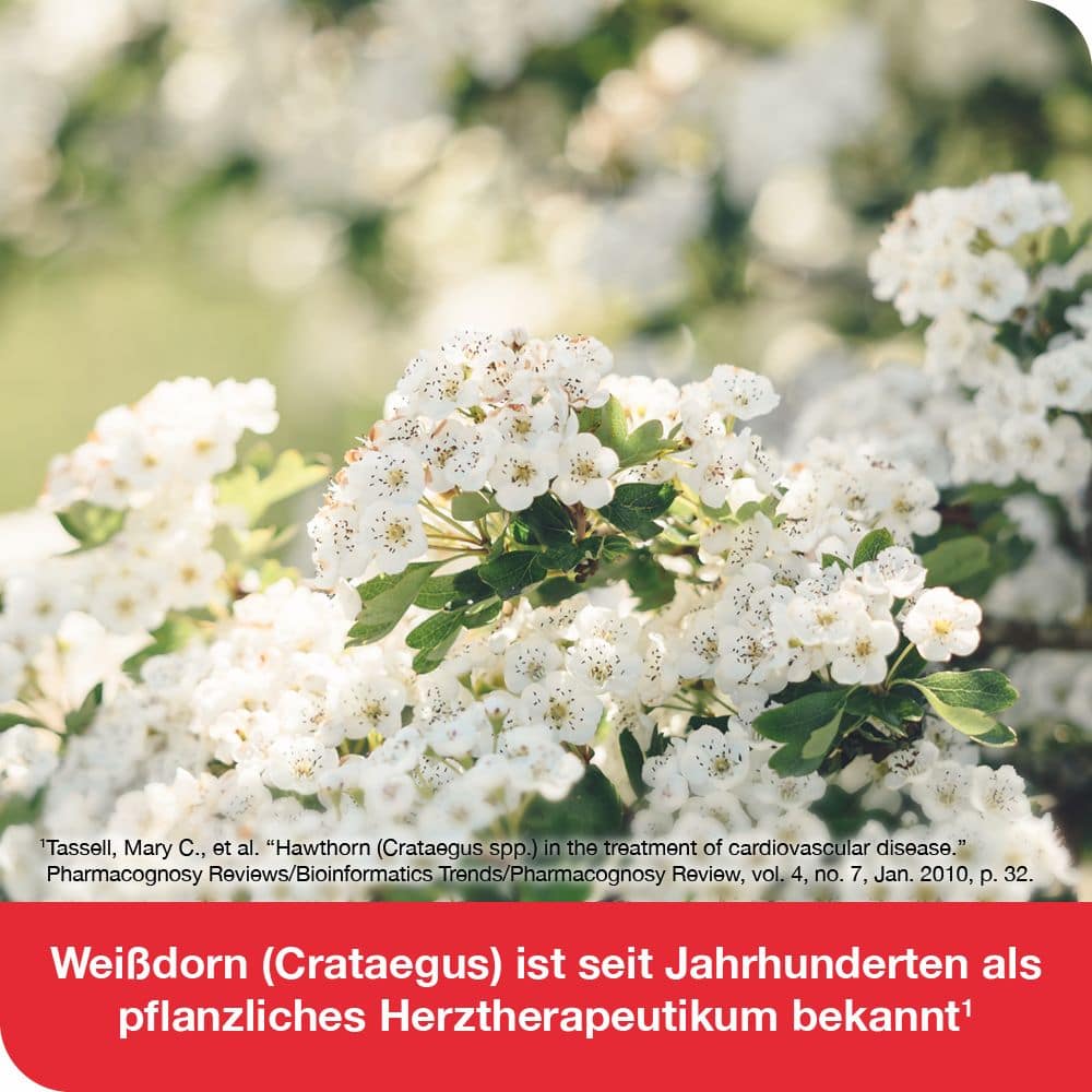 cratae-Loges 450mg Weißdorn  100 St Filmtabletten
