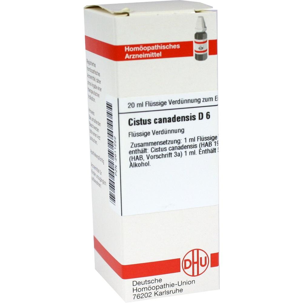 CISTUS CANADENSIS D 6 Dilution 20 ml Dilution
