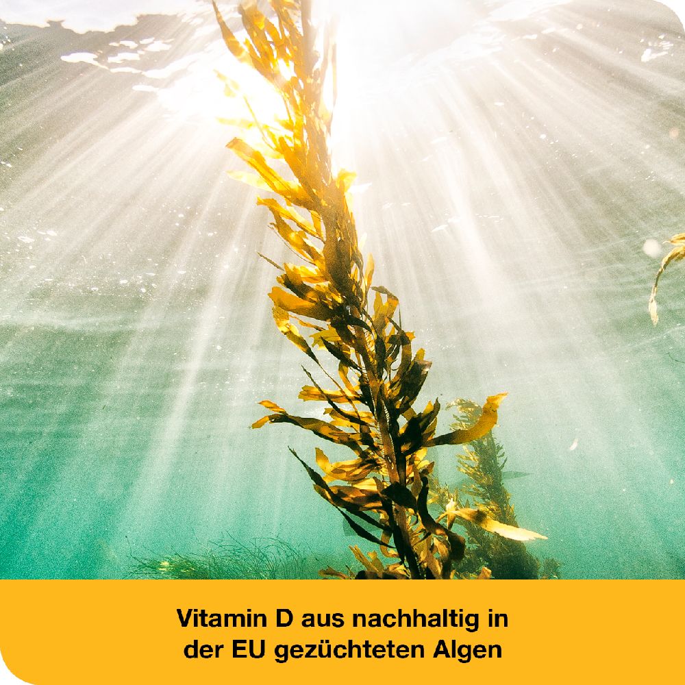vitamin D-Loges 7.000 I.E pflanzlich 90 St Weichkapseln