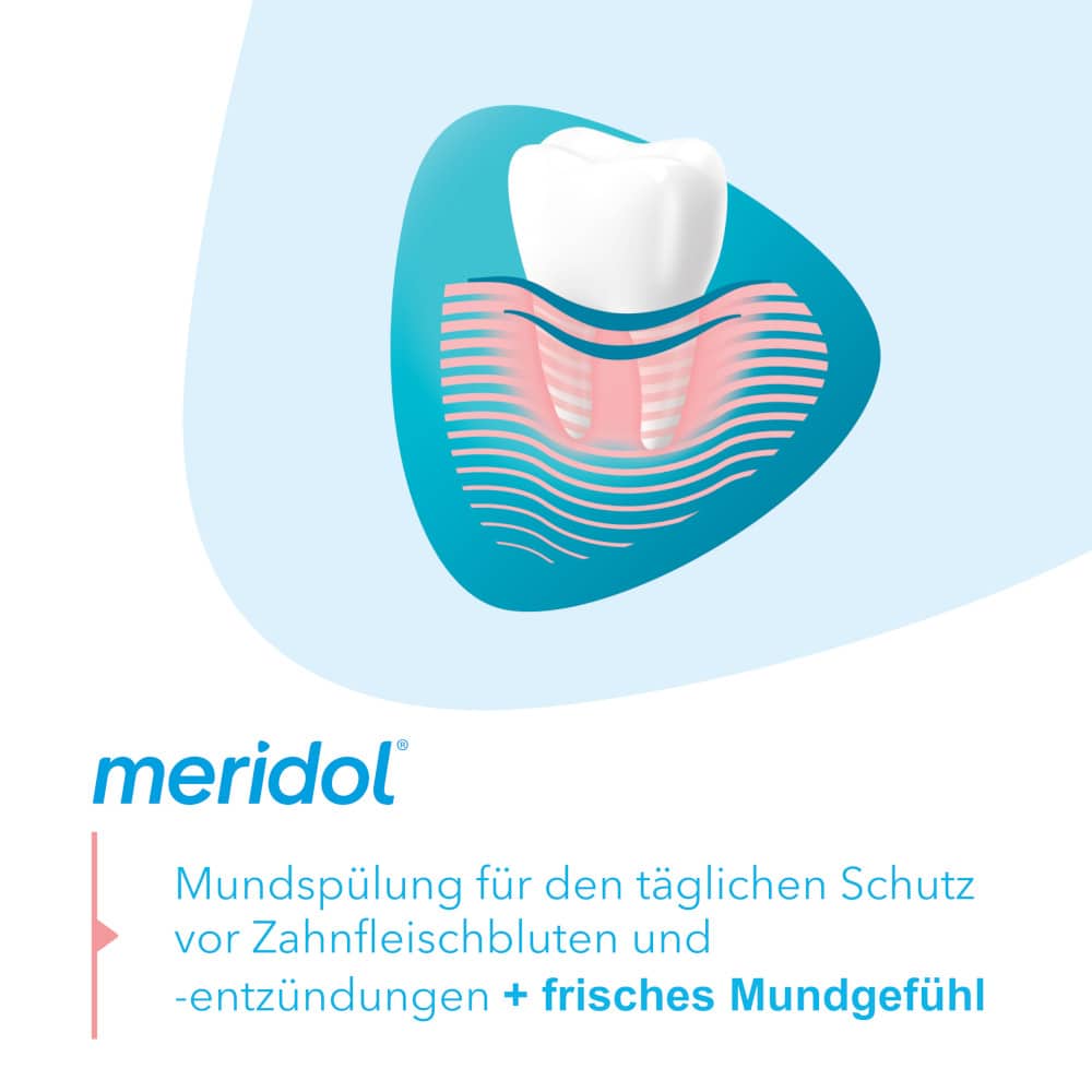 meridol ZAHNFLEISCHSCHUTZ  400 ml Lösung
