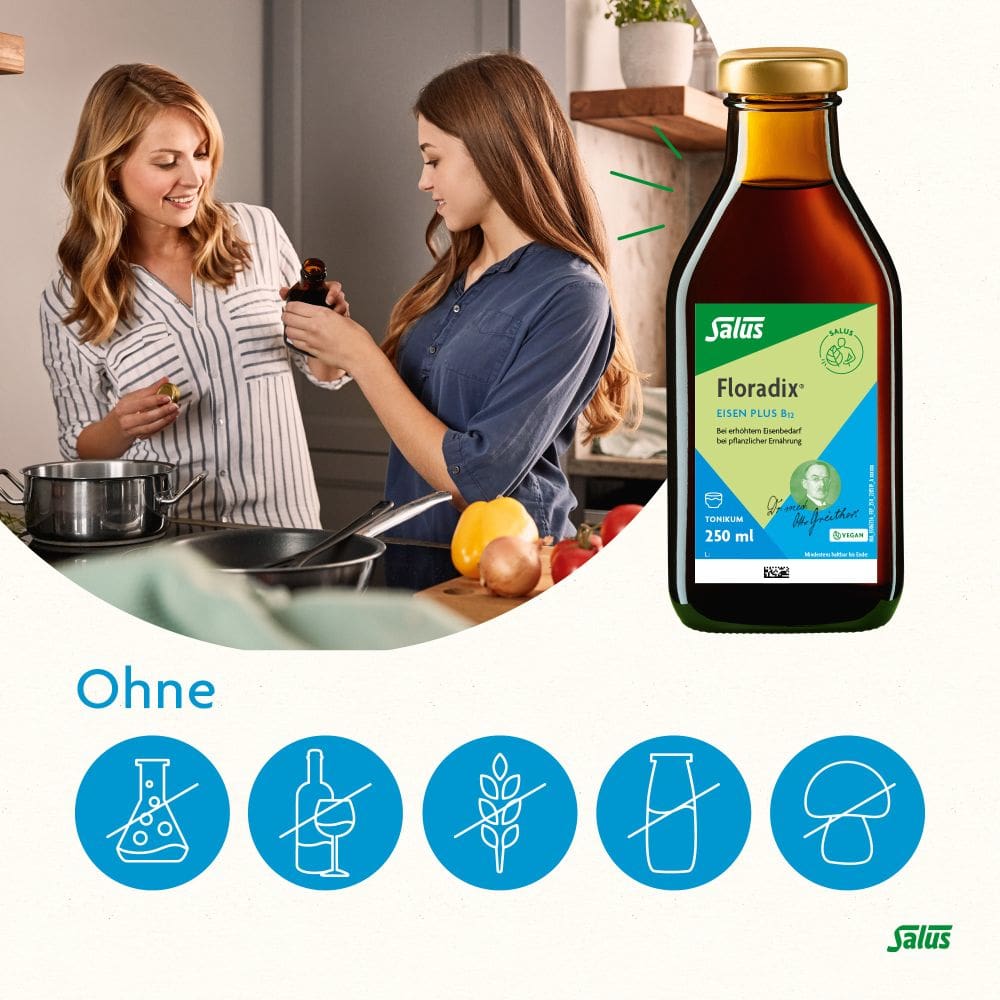Floradix Eisen Plus B12 Tonikum 250 ml Tonikum