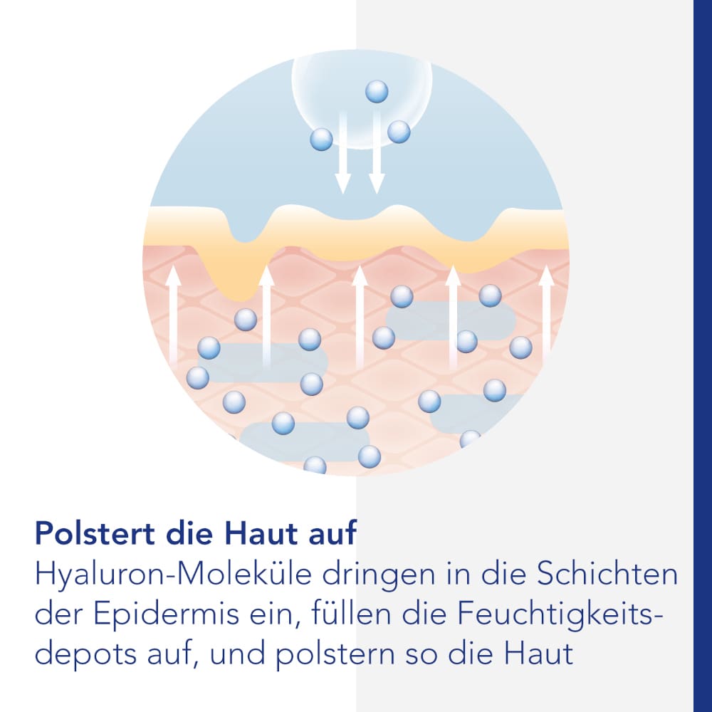VISCONTOUR Nachtcreme 50 ml Nachtcreme VISCONTOUR Nachtcreme 50 ml Nachtcreme