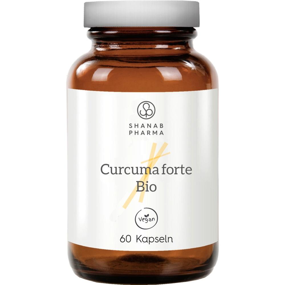 CURCUMA FORTE BIO VEGAN