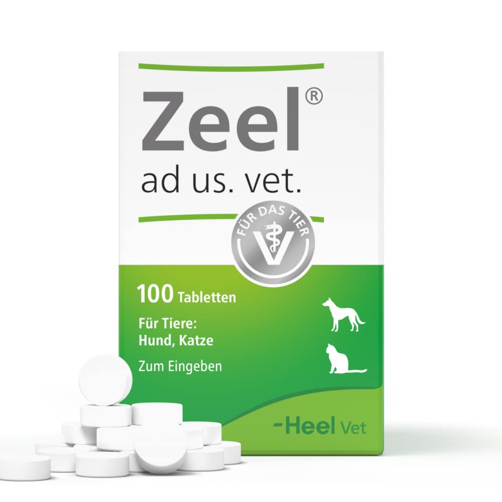 Zeel ad us. vet.  100 St Tabletten