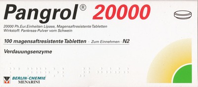 Pangrol 20000 100 St Tabletten magensaftresistent