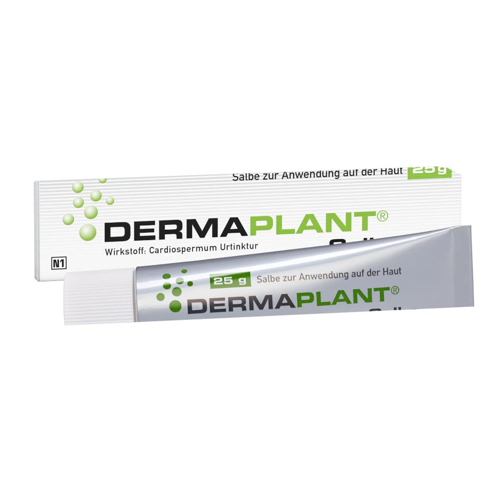 DERMAPLANT Salbe 25 g Salbe