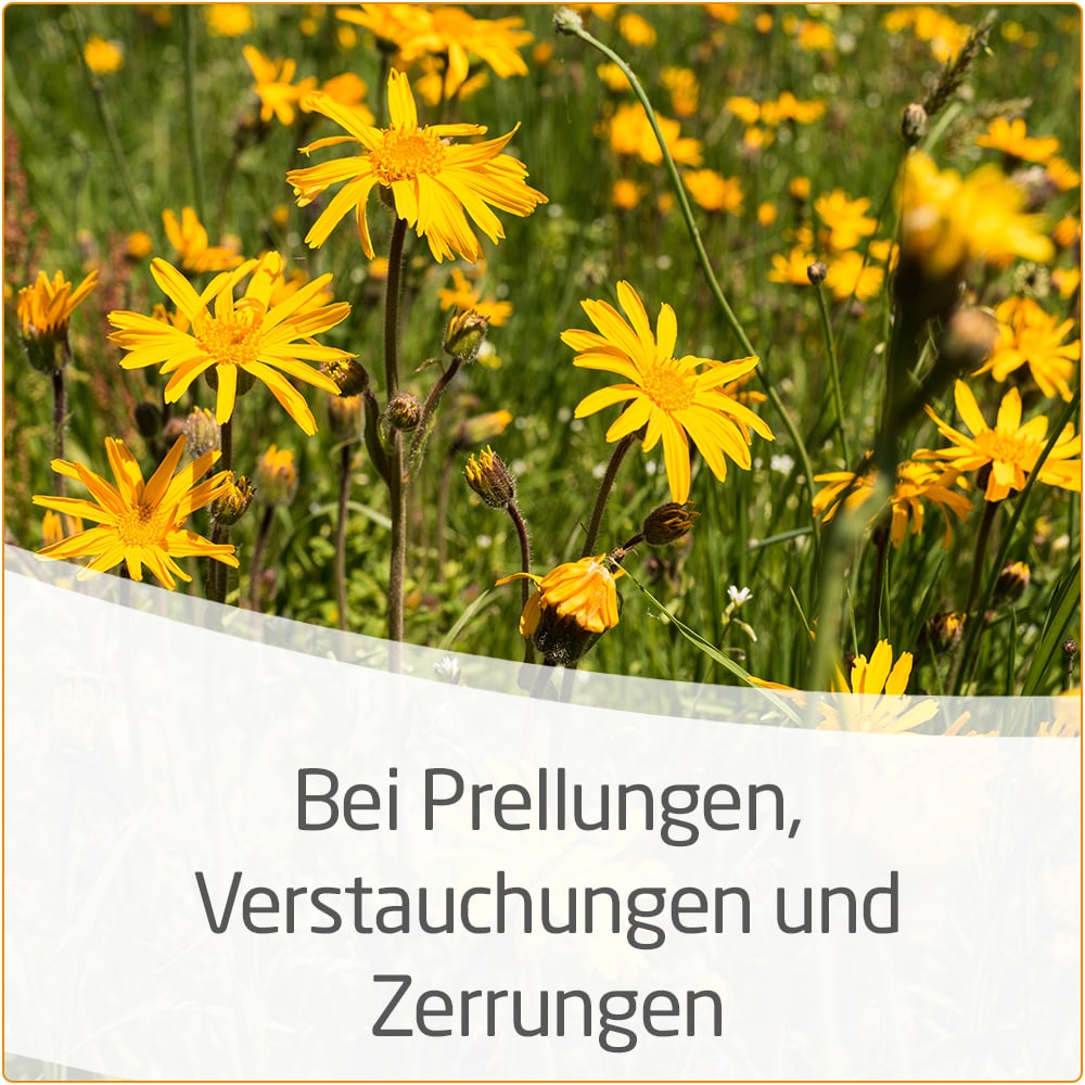 WELEDA Arnika-Salbe 30% 70 g Salbe