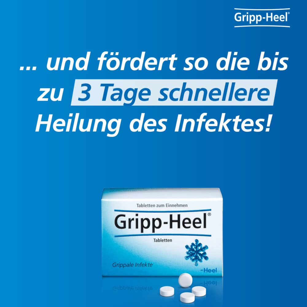 Gripp Heel Tabletten & Euphorbium comp SN Spray Set 1 Sparset