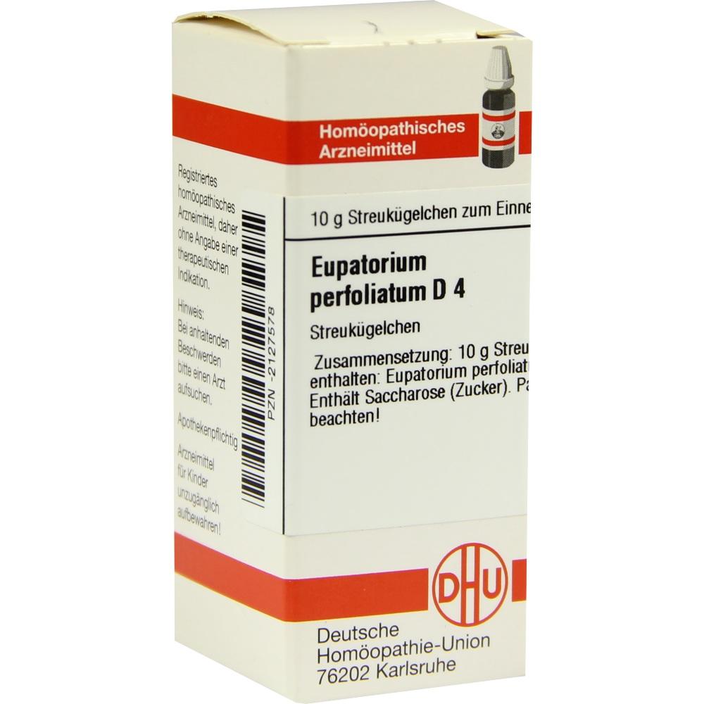 EUPATORIUM PERFOLIATUM D 4 Globuli 10 g Globuli