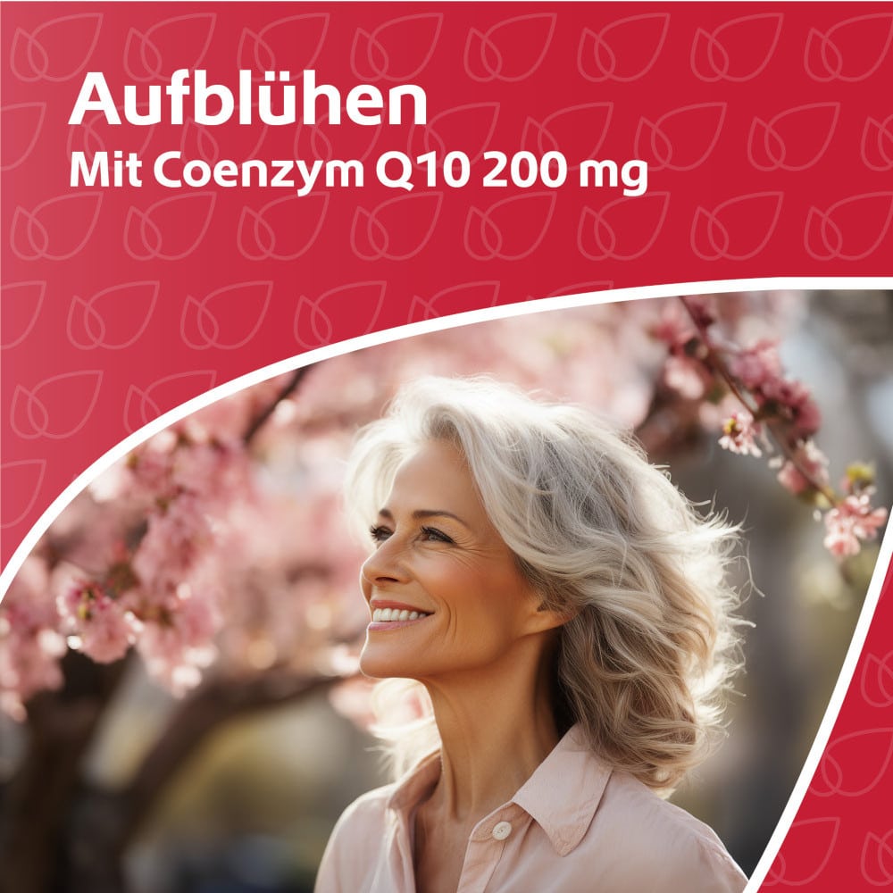 R(h)ein Nutrition Coezym Q10 200 mg 120 St Kapseln