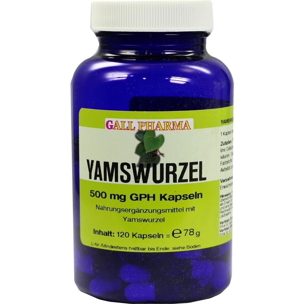 YAMSWURZEL 500 mg GPH Kapseln 120 St Kapseln